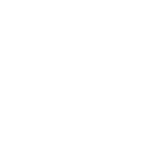 logo mariano bormioli